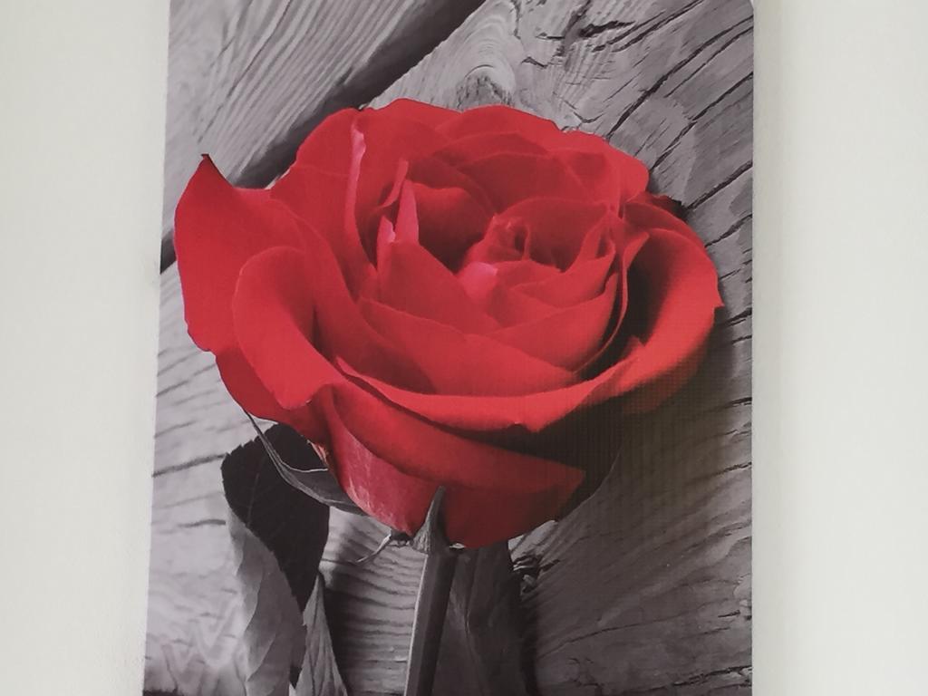 シラクーサRosa Di Ortigiaアパートメント エクステリア 写真